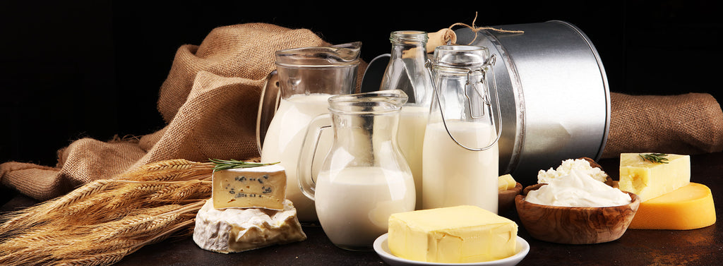 Dairy Products – EuropaMarketCA
